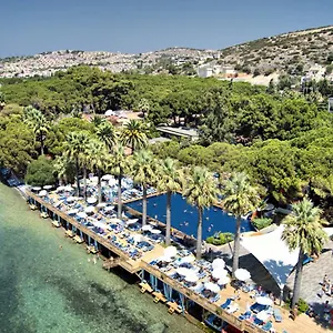 book here